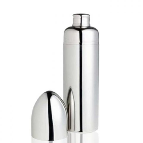 Bar Shaker Bullet Stainless Steel