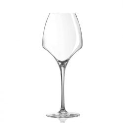 Open Up Universal Tasting