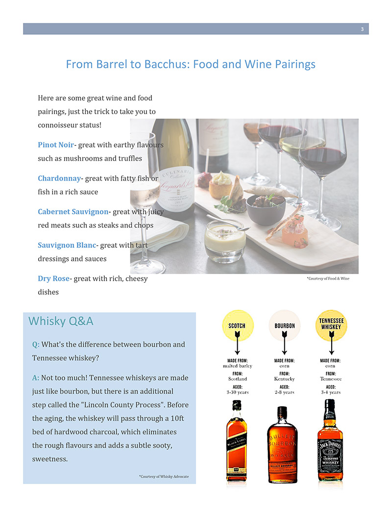 Zenan Zip - Issue 2, Dec 2017 - Page 3