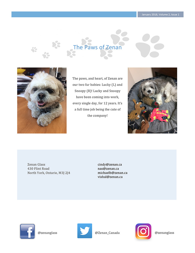 Zenan Zip - Issue 3, Jan 2018 - Page 5