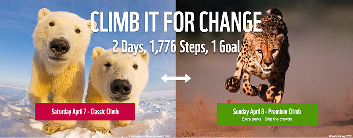 WWF Climb for nature 2018