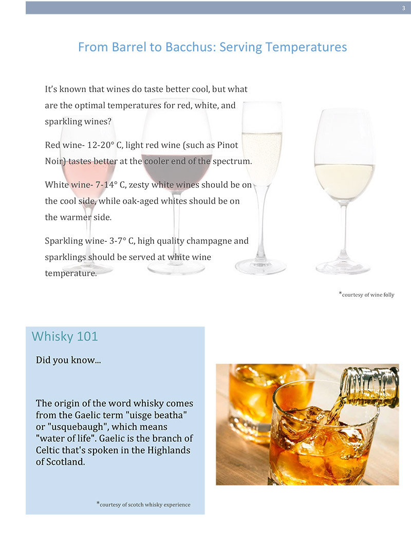 Zenan Zip - Issue 6, April 2018 - Page 3