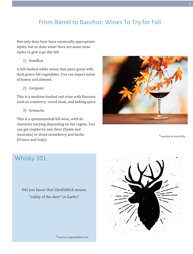 Zenan Zip - Issue 10, October 2018 - Page 3